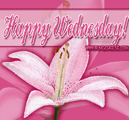 Wednesday_Day_Lily
