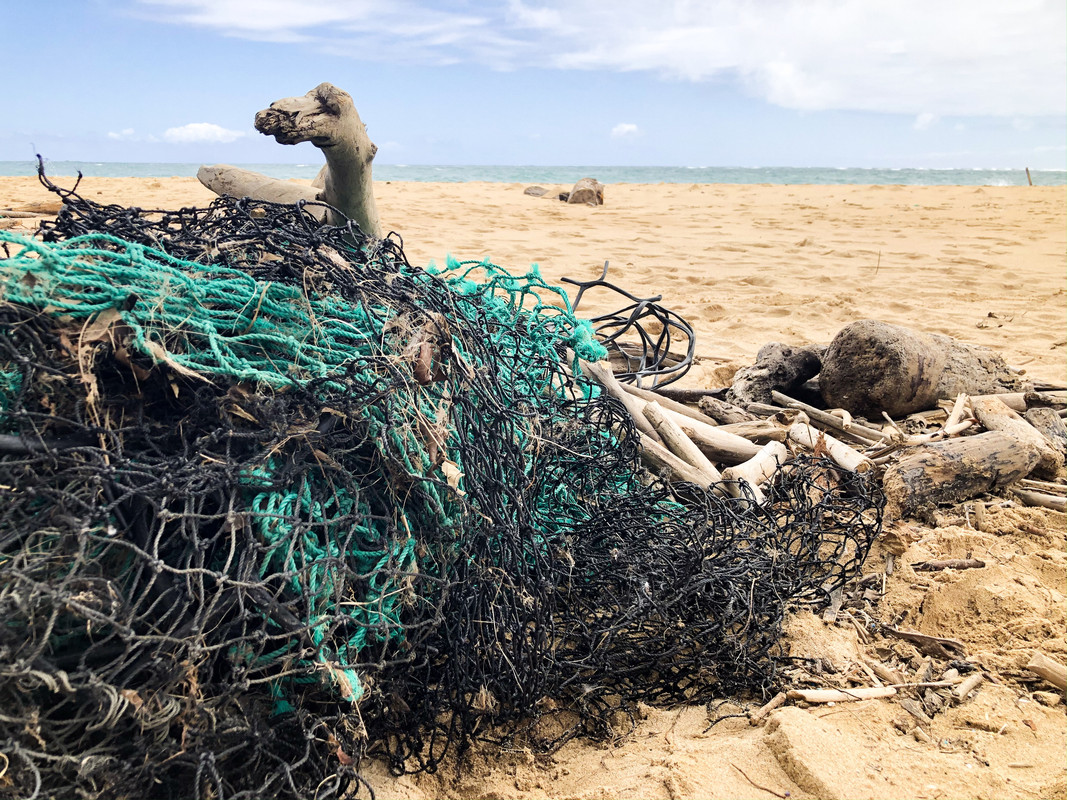 BE30CDD8-38F2-4B49-9F1E-5EE07AB69EFE