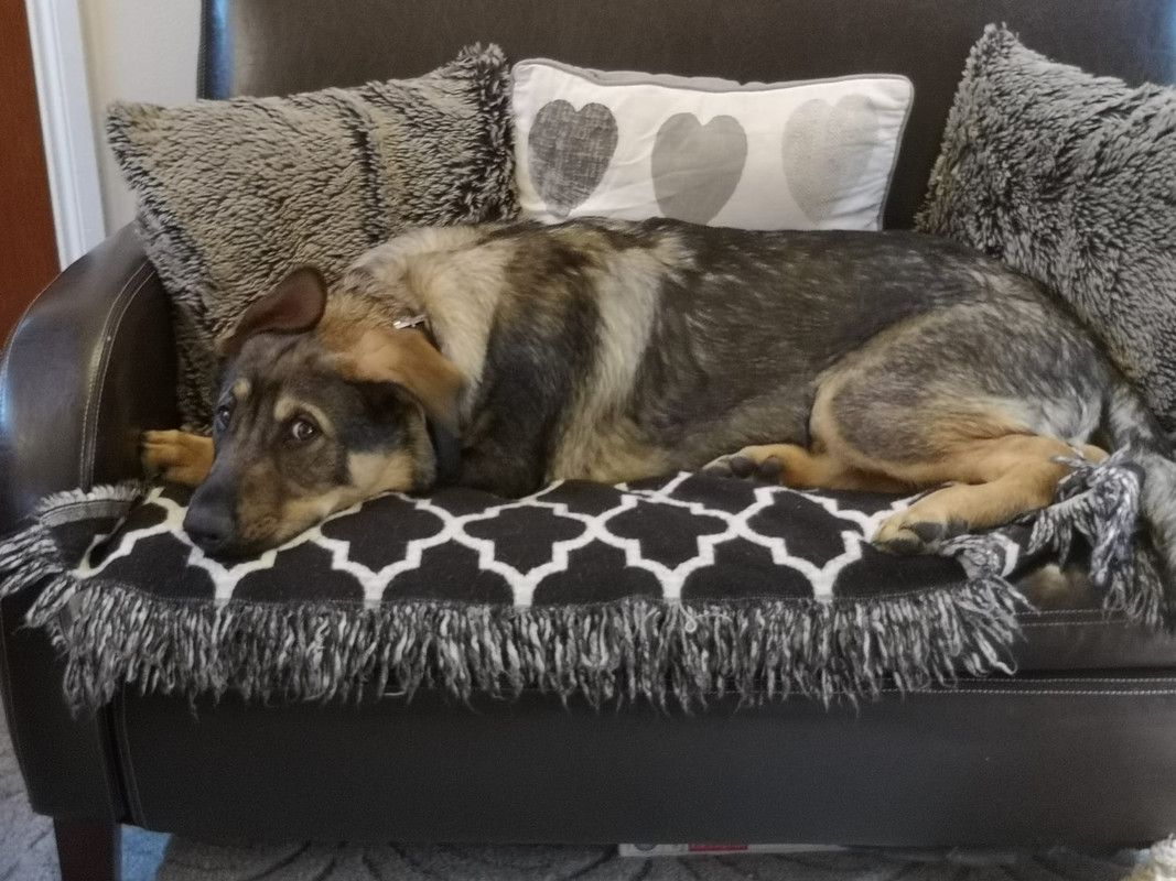 929c5383-178a-436b-be53-9360e122be68