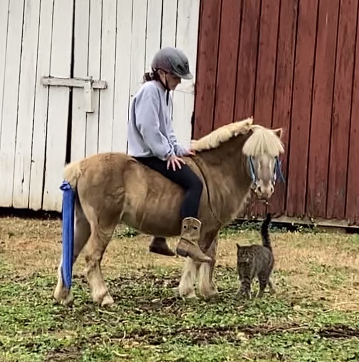 3FC01F3C-CEA0-465C-ADA0-B025CFD78AFB