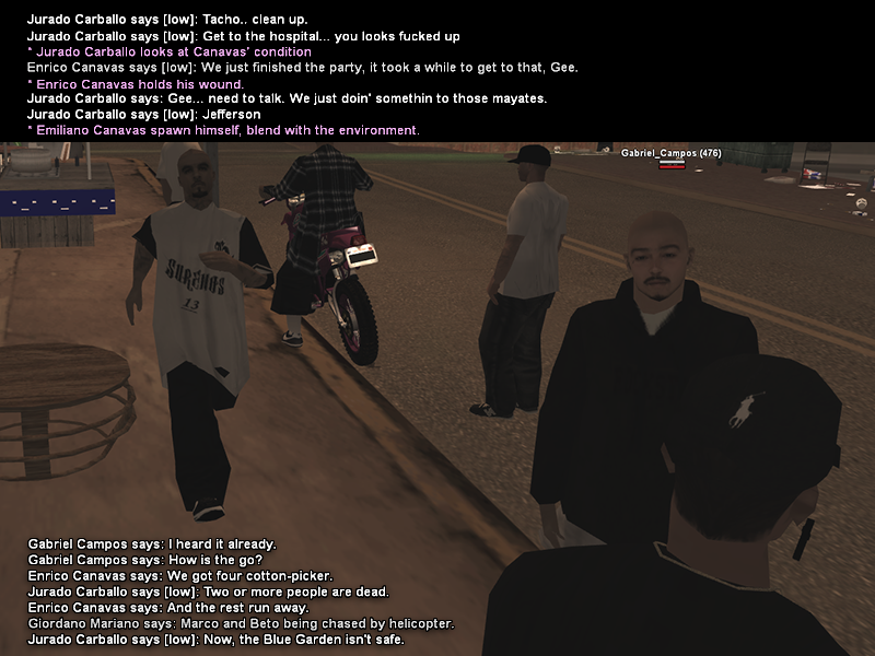 SS1.png
