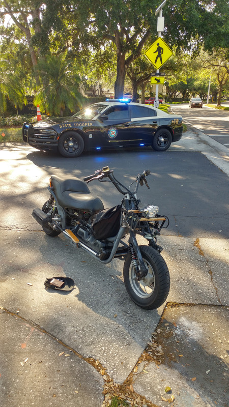 External inline image provided by member with no explanatory text