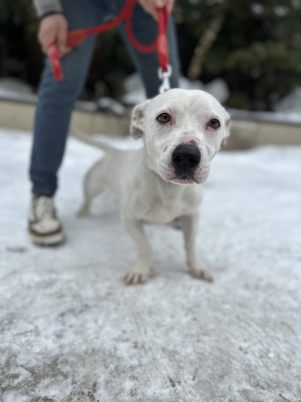 A29647D6-49EB-48CA-93B9-D72E87E5ED31