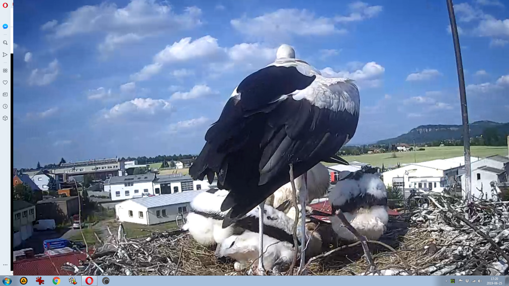 2019-06-25 17_20_19-Greenshot