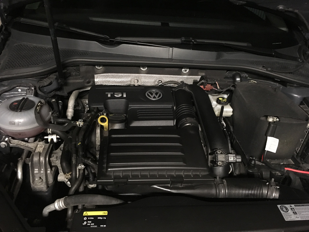 Carter Golf 15 juillet 18 (1)