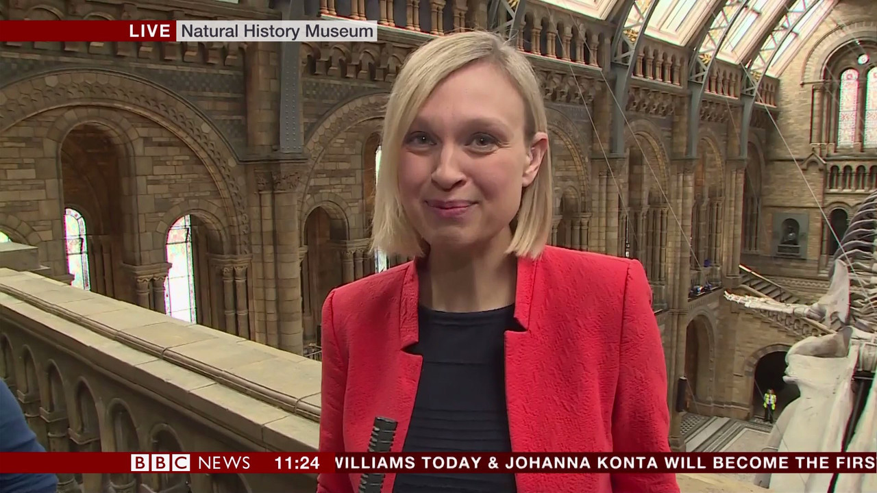 BBC Newsroom Live_20170713_11001130.ts_snapshot_