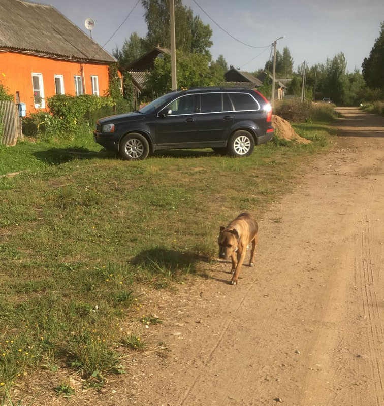 A82C34DA-6CC5-4197-84F0-D02C98F2D984