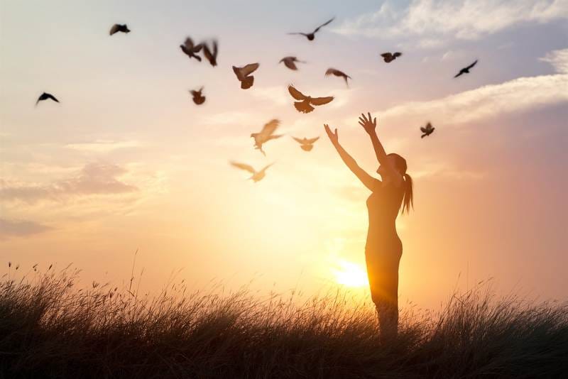 454665483-2666217506886337-4134639785036780468-n