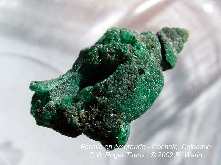 la lame mince la plus chère au monde ? Copie-de-Fossile-emeraude2284-R