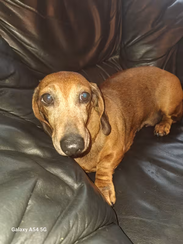 [Image: 20241108-094537.avif]