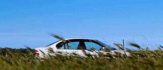 [Immagine: 10285296-10202712567313433-4460518198988804655-o.jpg]