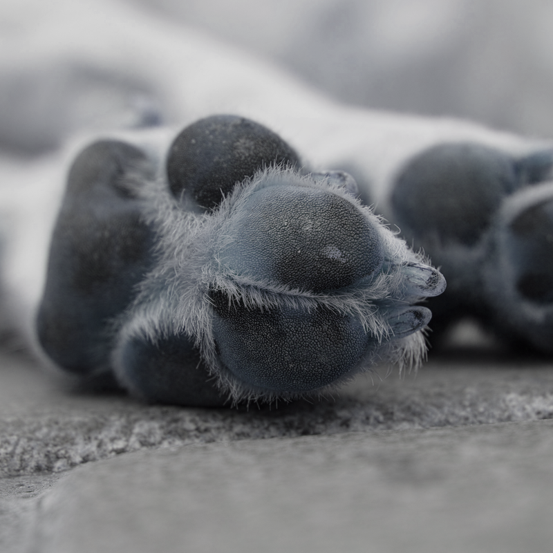 engin-akyurt-s-XYBSbi7-QBk-unsplash-edit