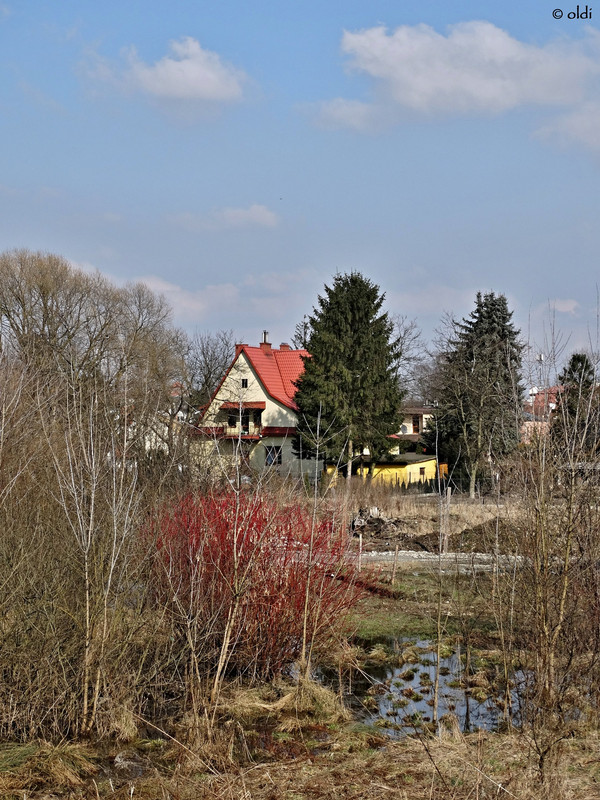 DSC07447