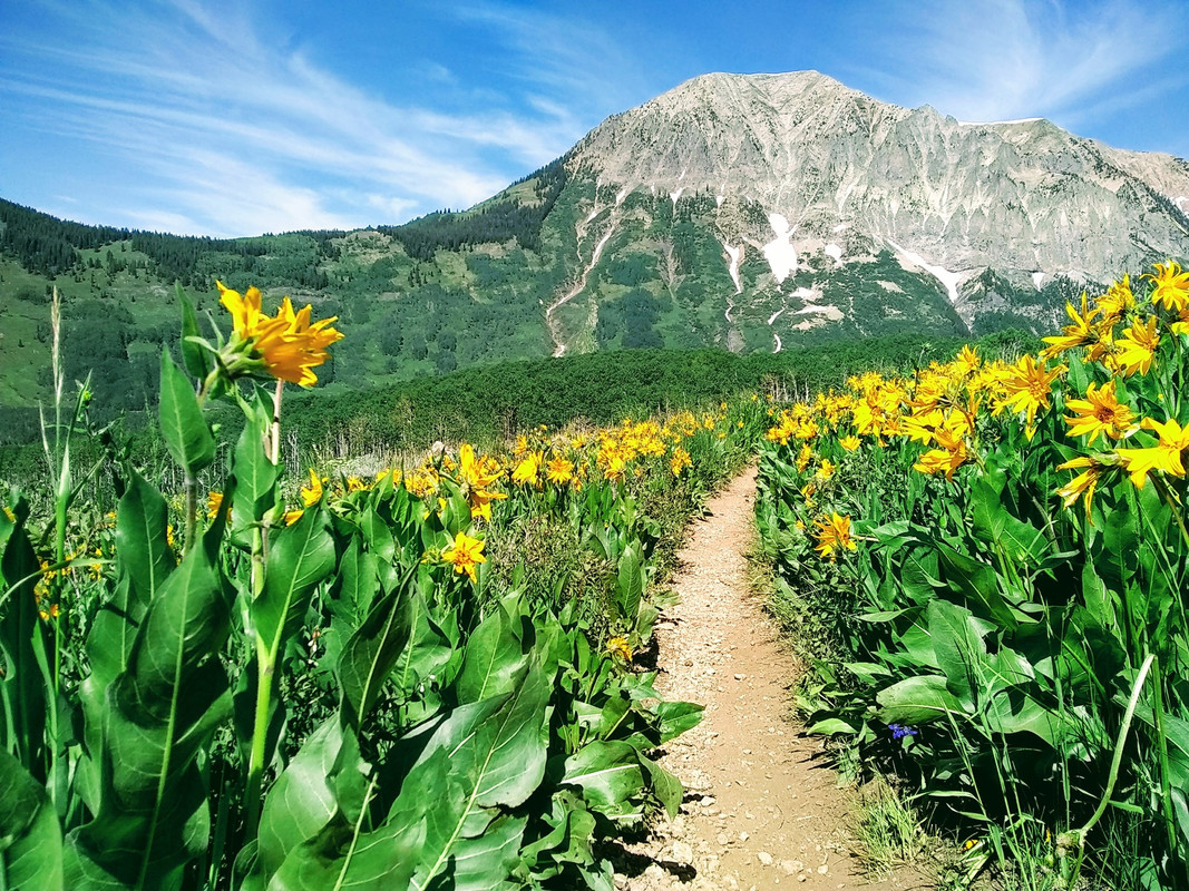 66820333_10217007250527972_3755648905476308992_n