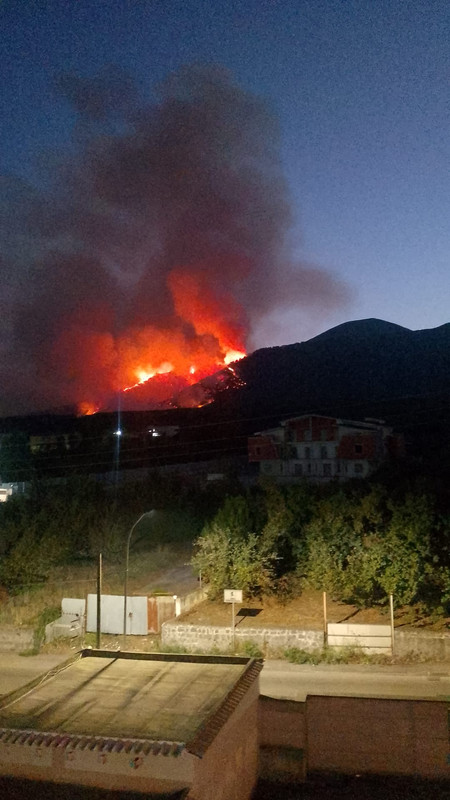 12c85771-4484-4d5e-aefc-c615ec97334c