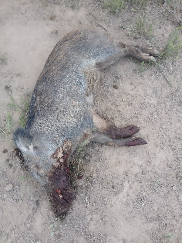 59b1d6e5 3127 4543 9940 c69d929aa425