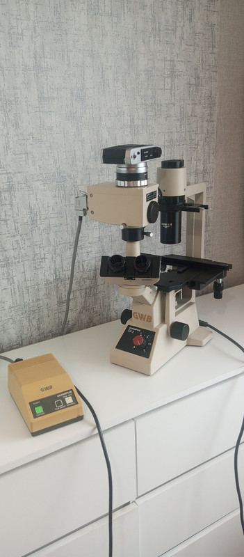 IMG 20251114 091717 808