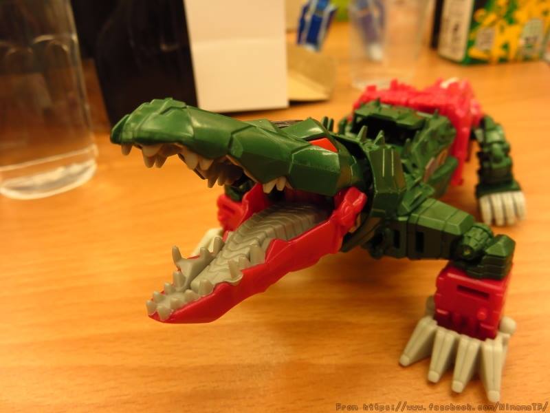 13319767_272533043097130_3686413235375054076_n