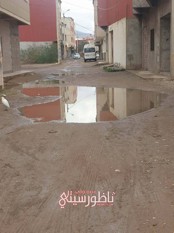 10282130-0c66-46ee-a380-72a7b7fad193