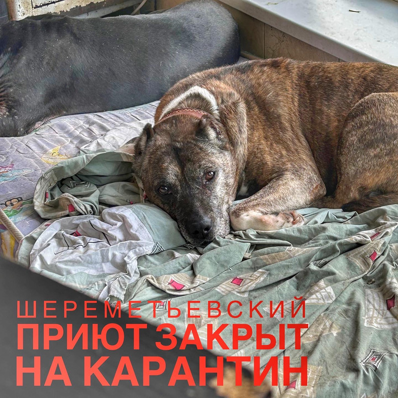 B8AB0F48-6D4A-4E57-9CDB-EF69EF84719E