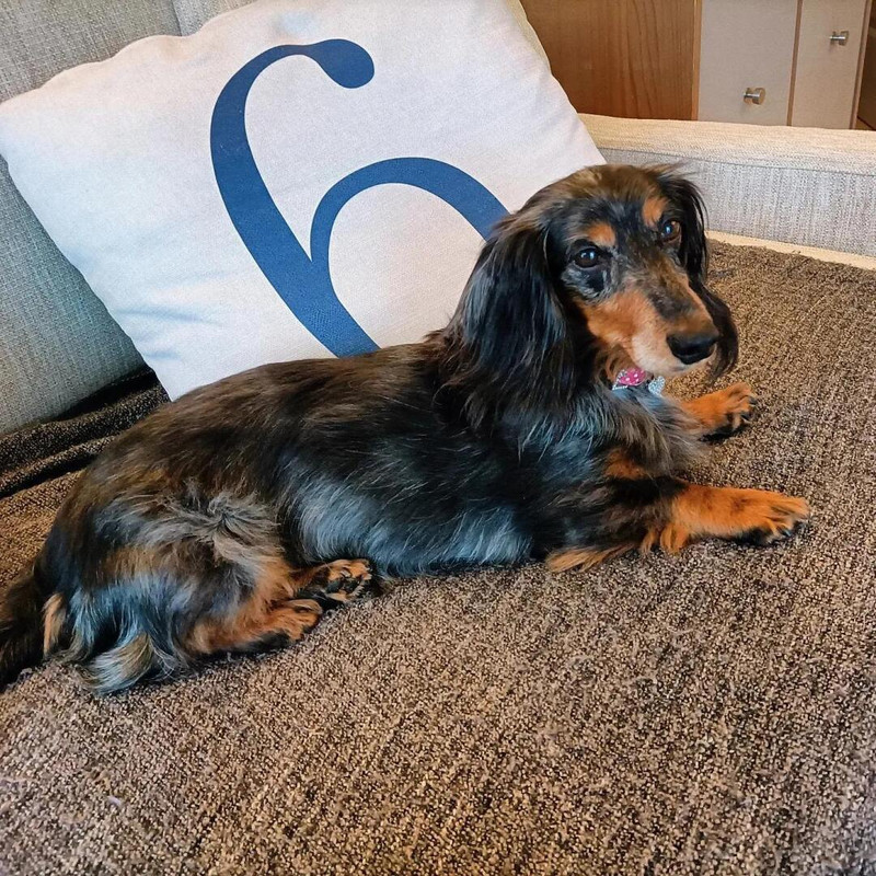 [Image: image000000-282.jpg]