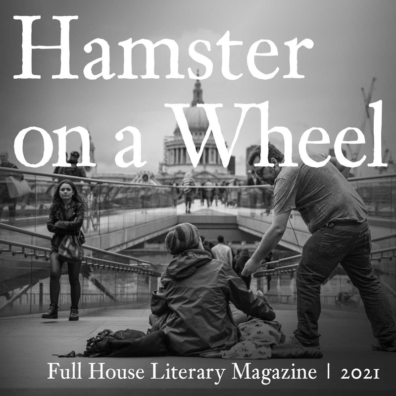 Hamster on a Wheel, James Bruce May. Image by Tom Parsons via Unsplash