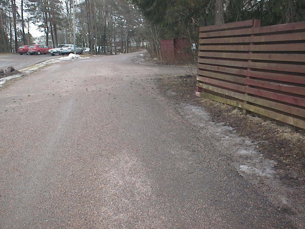 päivän löydöt 28032016 044