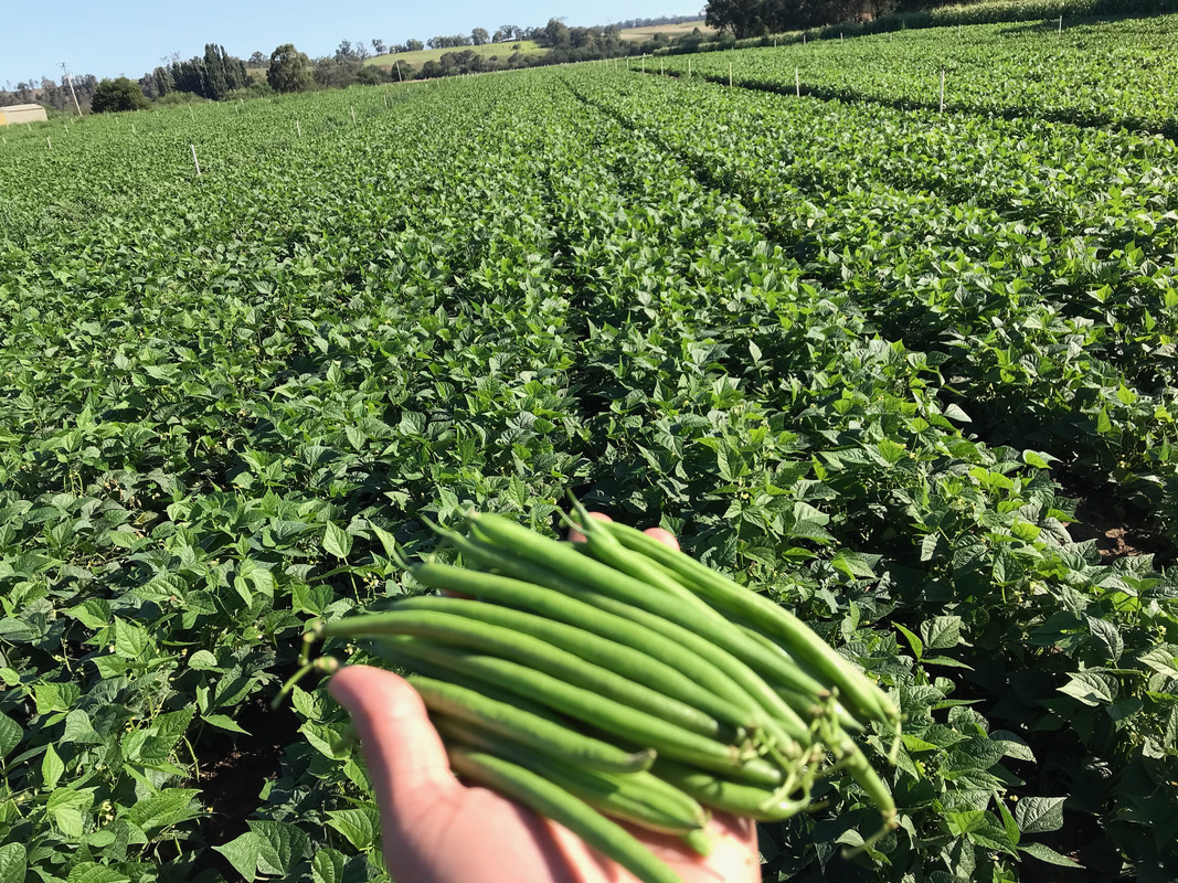 CEFD17DF-13F9-43A3-98B0-EDF480D65314