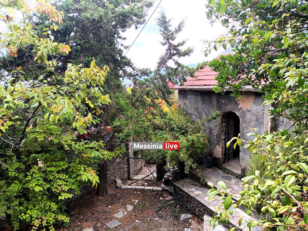 LADASIMG-20251012-131145