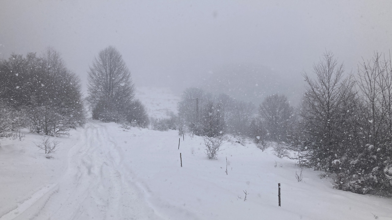 31B07BCA-A245-4AE3-9C01-79E3CA5460E0