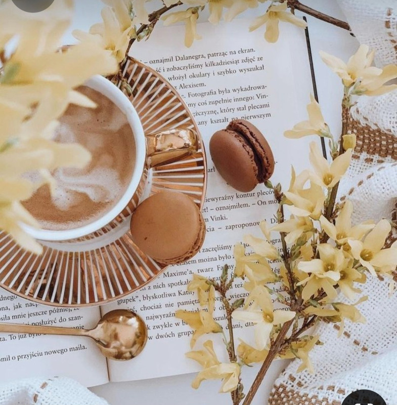 Screenshot_20240529_234453_Pinterest