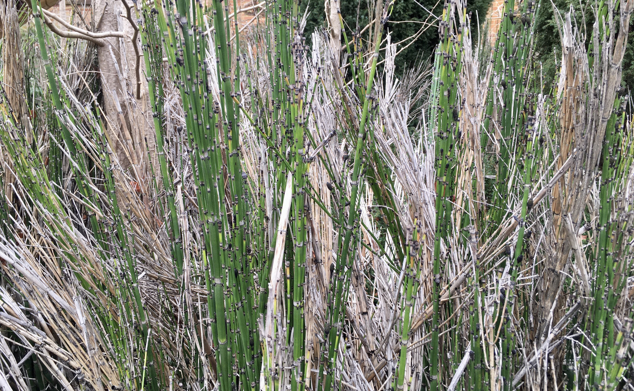 CEEF544C-28D4-4F94-81F1-7093C6EA401E