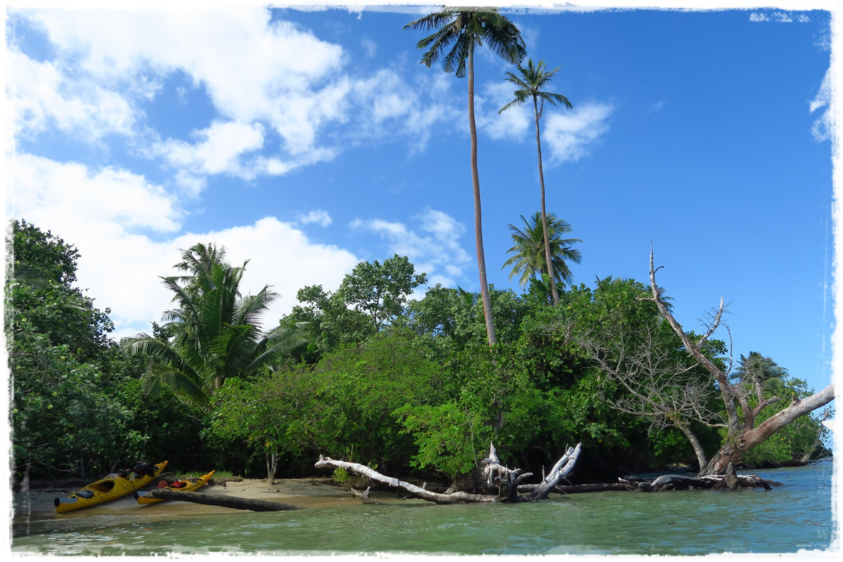 Talofa! Samoa, una perla en el Pacífico - Blogs de Samoa - Día 7. Upolu: kayak y costa sur (8)