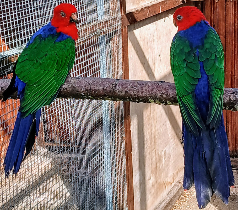 20250914_104348~2 (1)