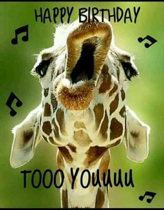 Birthday-Giraffe-Singing-to-You