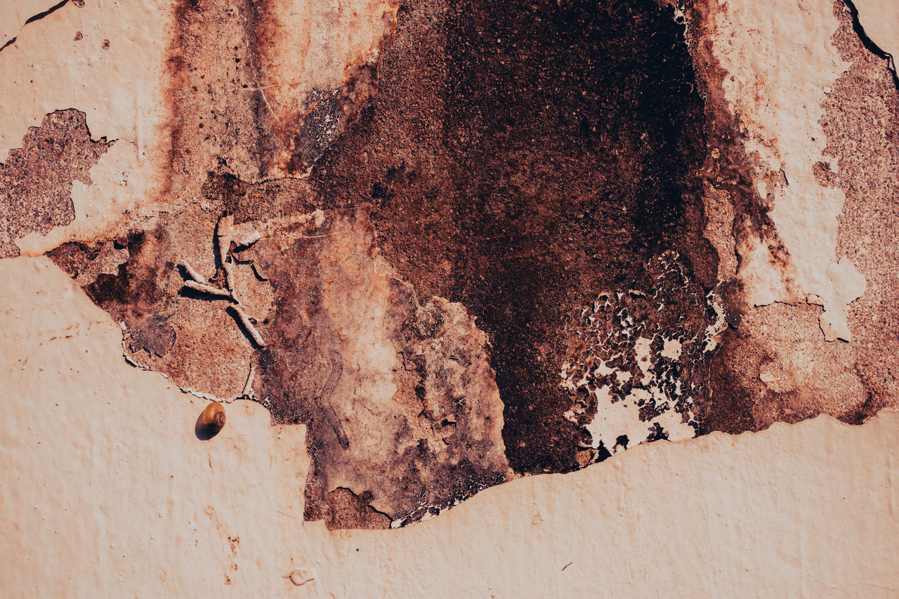 Certified technician inspecting a De Pere Wisconsin basement for mold and moisture
