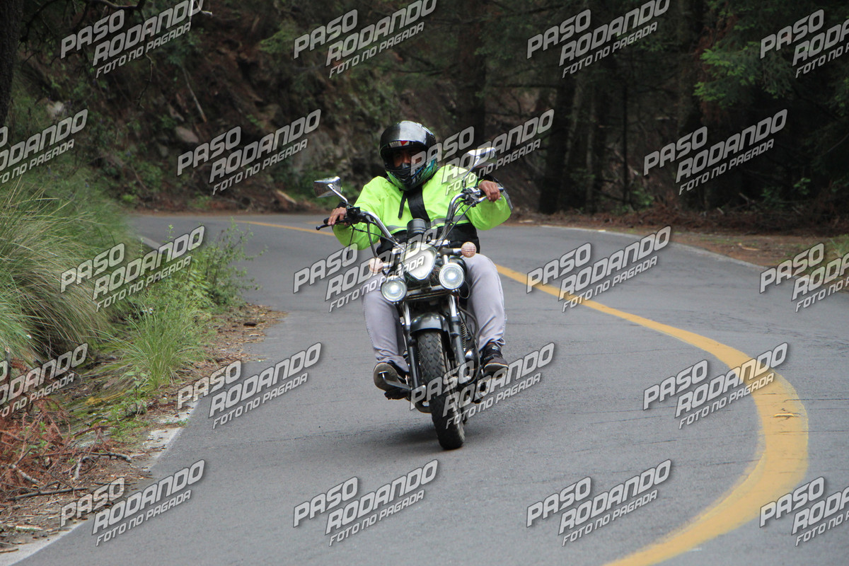 IMG 8398 wm 2137370 9 watermarked — Postimages