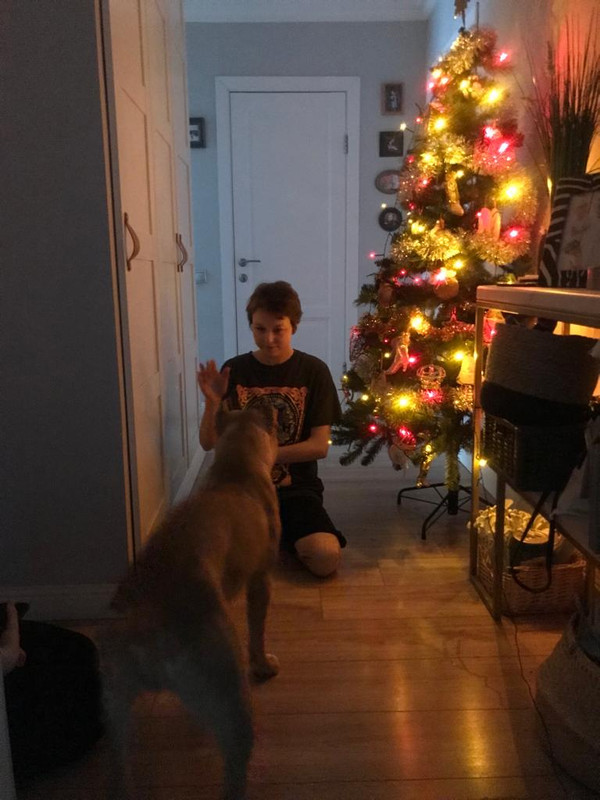 08502EFA-06C5-43AD-A1A1-C03694AB78E0