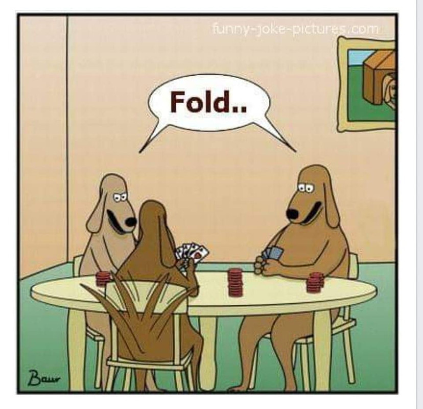 Dog-poker.jpg