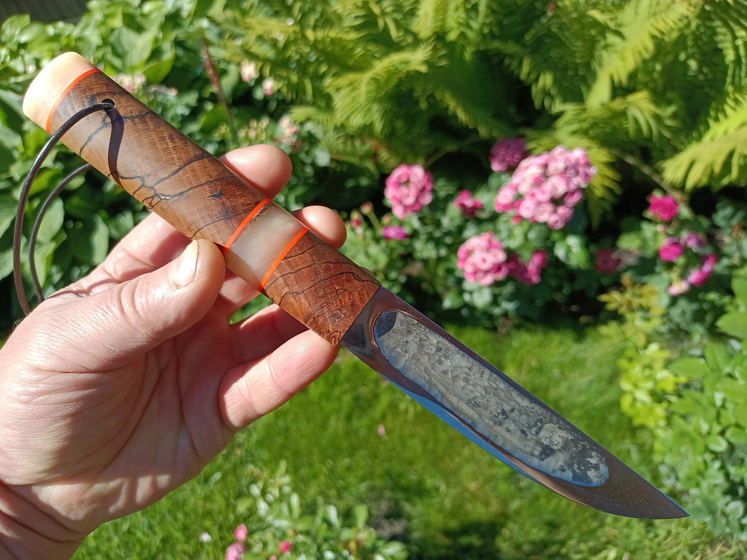 448869797_3540953252821039_9067723395132354793_n