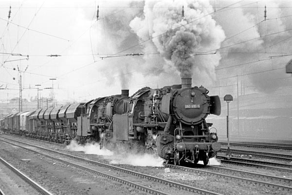 z11451 groot