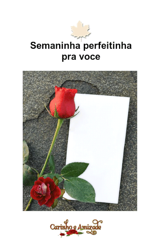 oie-i-Gz3-Nd-DJf-Gc-I.gif