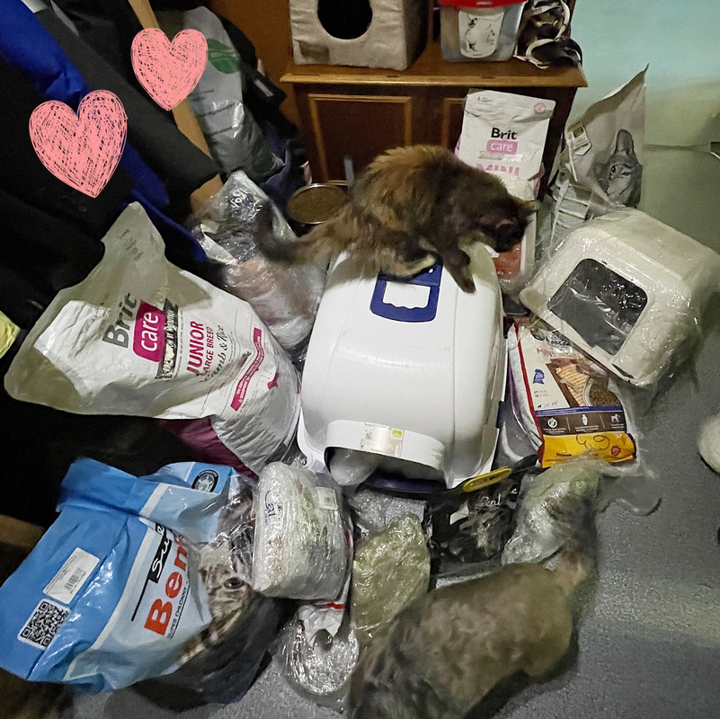 84E02910-D34D-403F-87DB-A2B1F4681173