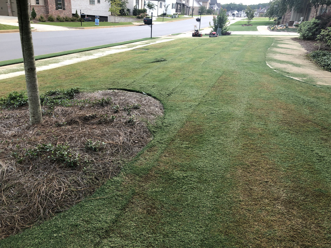 2CE702E8-CED6-4C44-869C-6A12E640B98A