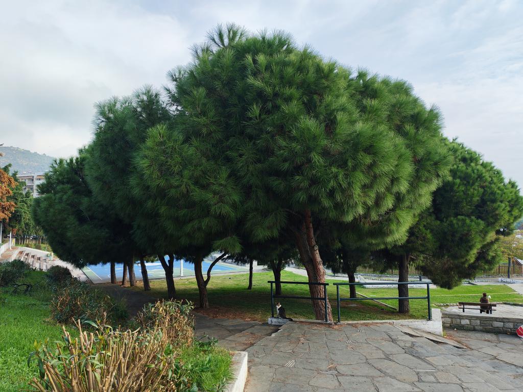 IMG 20251108 103227