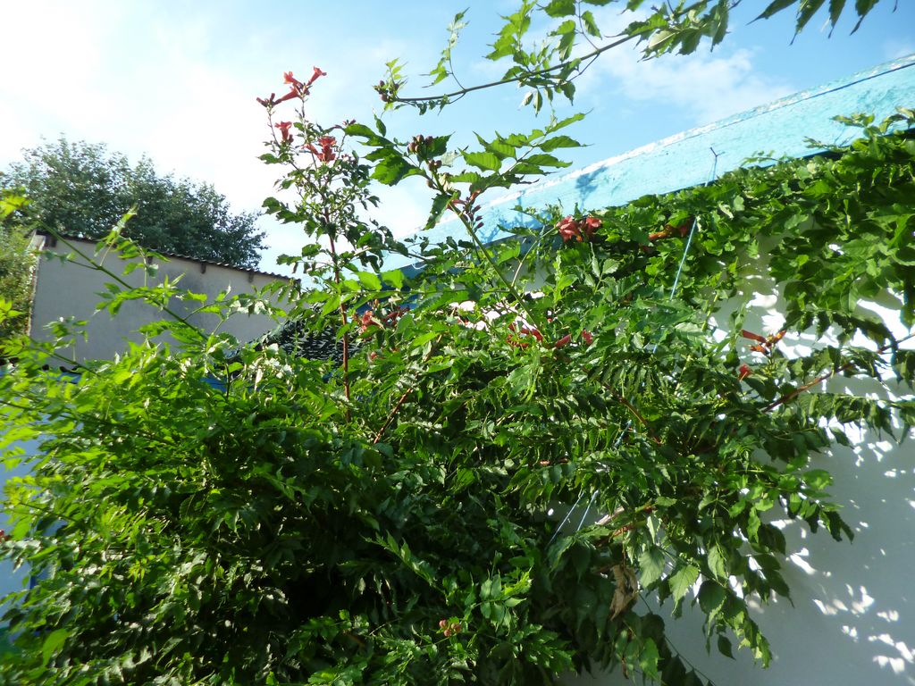 P1190331 [Разрешение рабочего стола]