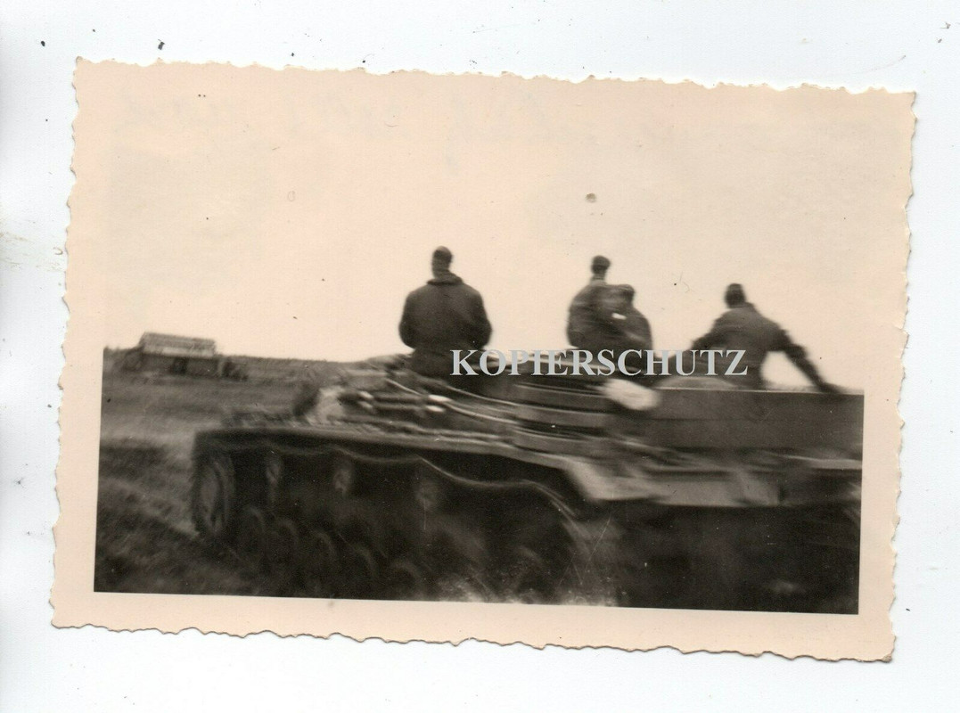 Russland 41 Welisch Rschew Vorm. SDkfz Panzer tank Sturmgeschütz