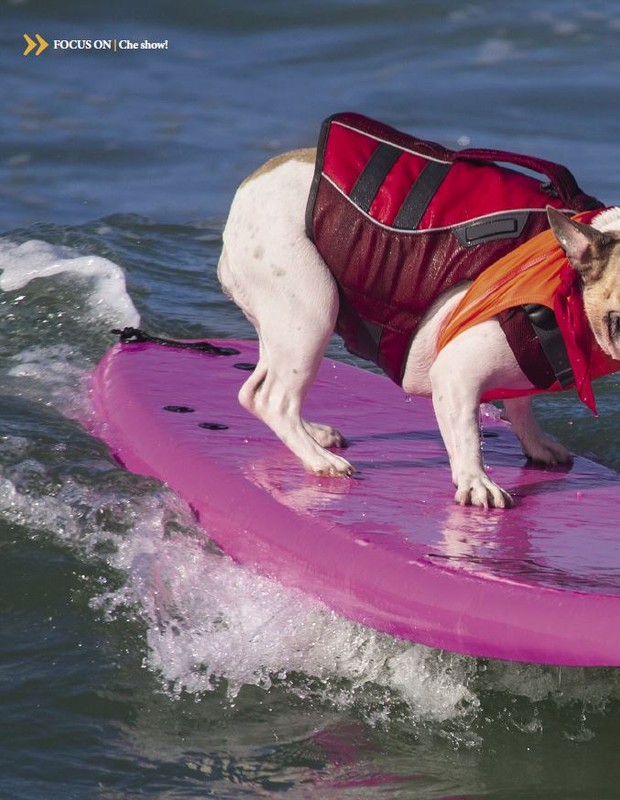 Argos Dic 2022-Gen 2023 (7)