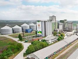 МХП продает 10% акций завода по производству круп и комбикормов