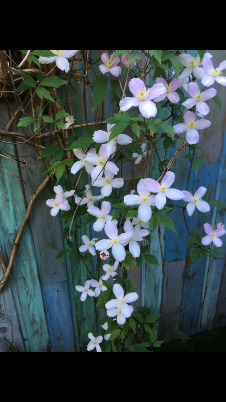 ED0291E4-351A-4C1F-B77B-C3252F564E4B